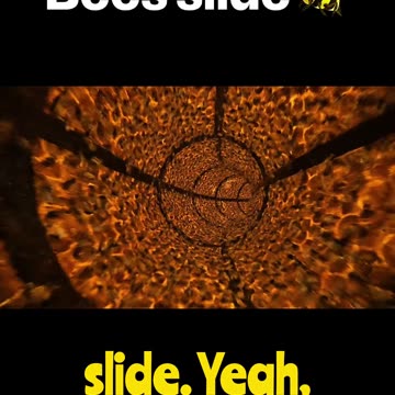 One Million dollars to go down a slide, which one would you choose? #viral #slides