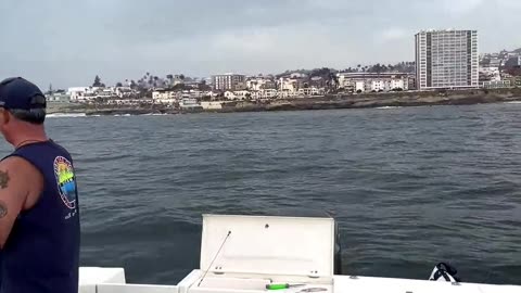 SoCal Weekend Fish Report with Captain Dave! #745