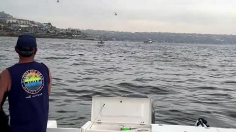 SoCal Weekend Fish Report with Captain Dave! #745