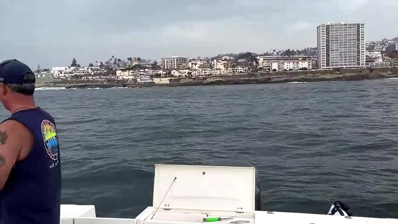 SoCal Weekend Fish Report with Captain Dave! #745