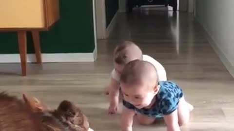 Love All Life Always #136 - Beautiful Souls Playing Together