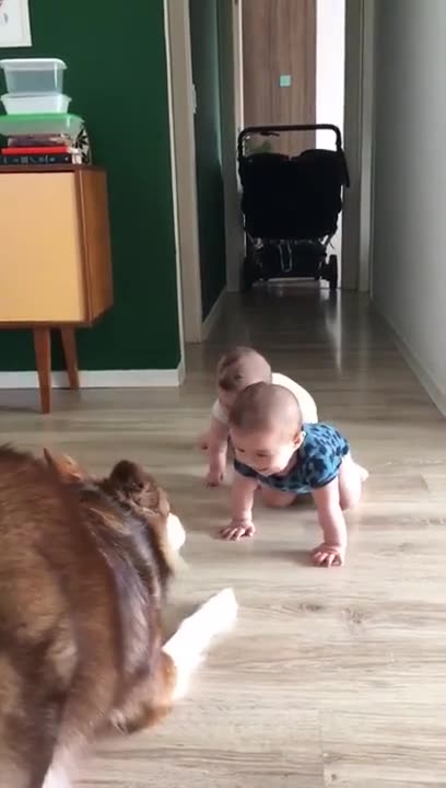 Love All Life Always #136 - Beautiful Souls Playing Together