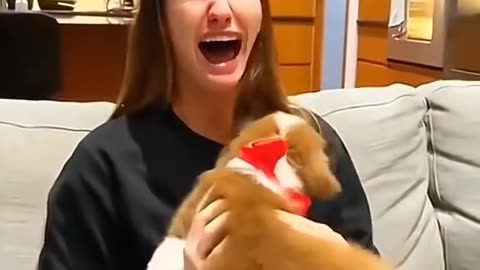 Surprise puppies