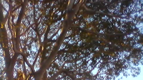 WIN_20241105_07_06_15_Pro.mp4