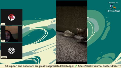 11/14/25 The Kate Show VOD: "Free-for-all Friday 🥳 Panel??"