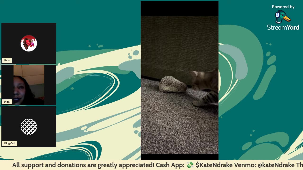 11/14/25 The Kate Show VOD: Free-for-all Friday 🥳 Panel??