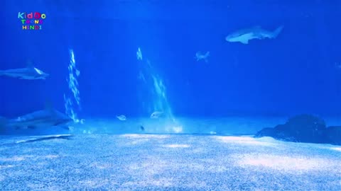 Fish Tales Animated Children Movie _ Hindi Animation Cartoon Movie _ For Kids _ Kiddo Toons Hindi