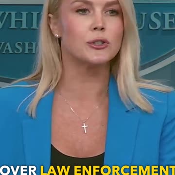 Elected Officials Criticize Immigration Enforcement Actions