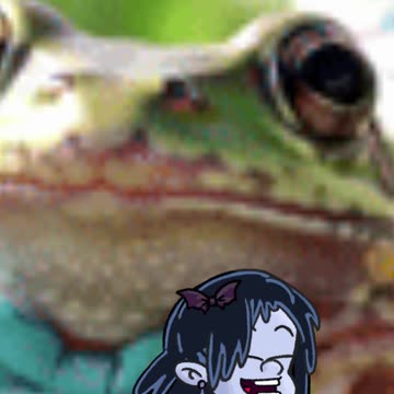 fonte de bamboo mu7sica 3