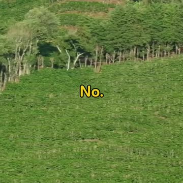 top 5 hardest working countries l mind blown facts