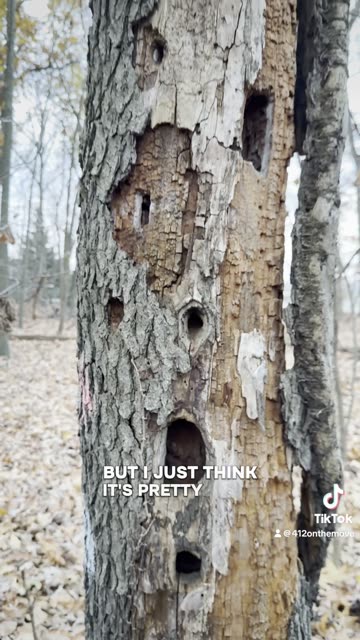 Cranberry Township Community Park - Part 2/3