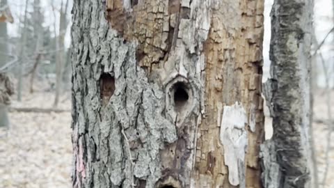 Cranberry Township Community Park - Part 2/3