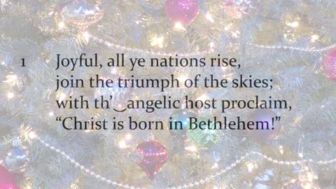 Worship From Mt. Olive Ev. Lutheran Church