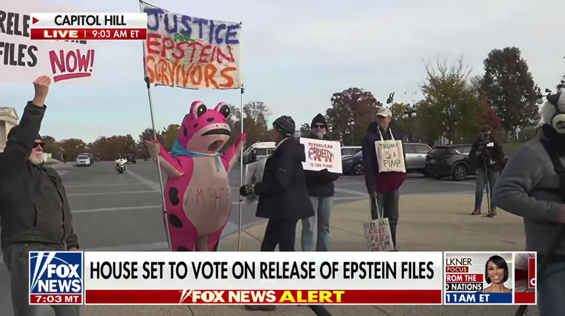 Capitol Hill: Dem shows up to advocate for Epstein victims. In a pink frog suit🐸