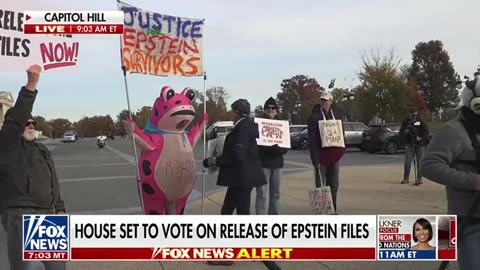 Capitol Hill: Dem shows up to advocate for Epstein victims. In a pink frog suit🐸