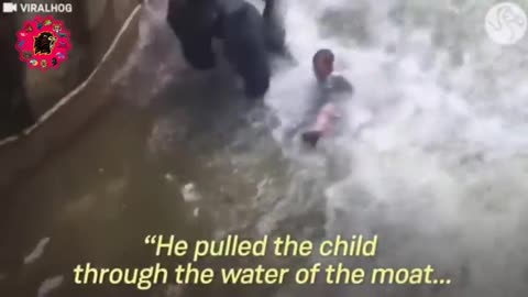 When animals attacked.