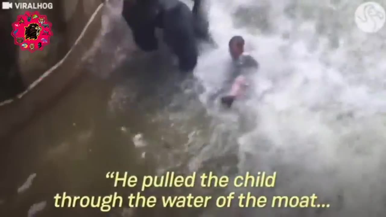 When animals attacked.