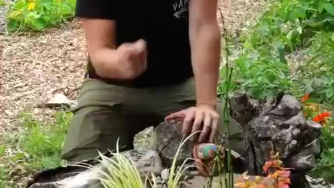 THREE PERMACULTURE GROWING METHODS.