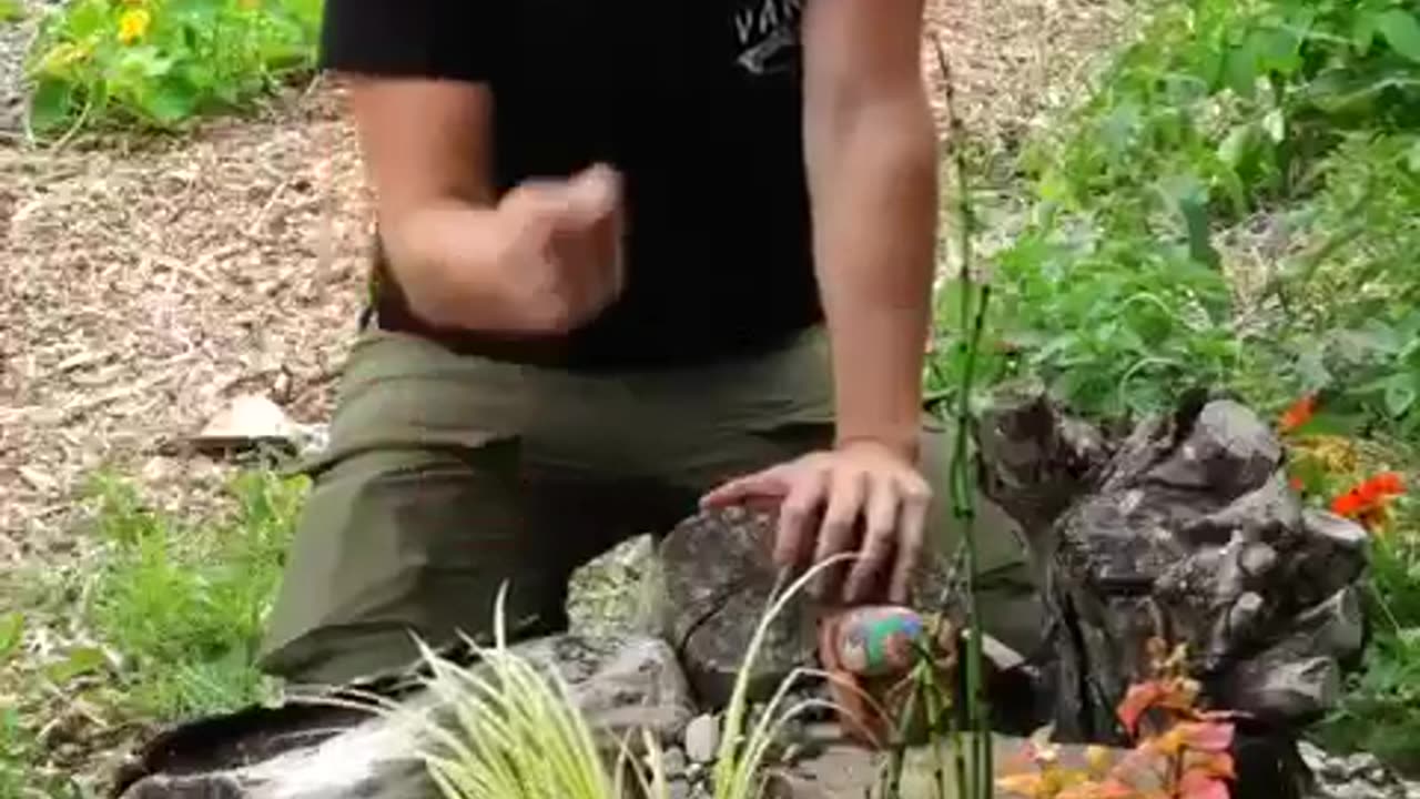 THREE PERMACULTURE GROWING METHODS.