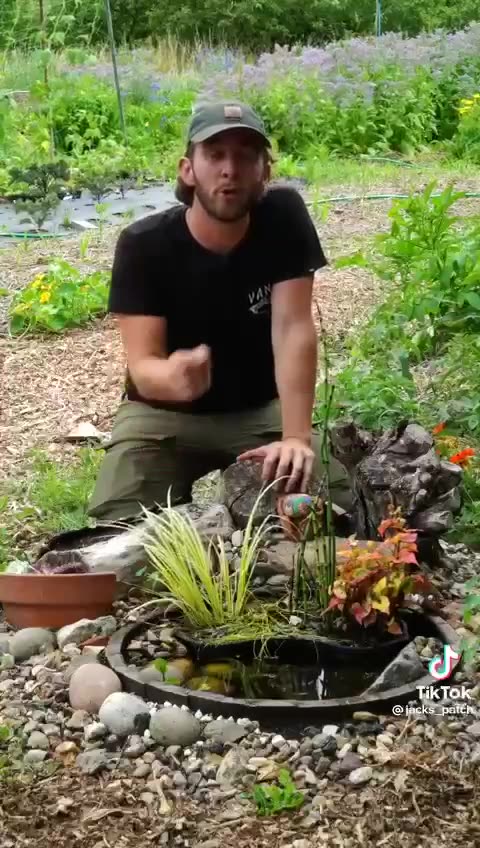 THREE PERMACULTURE GROWING METHODS.