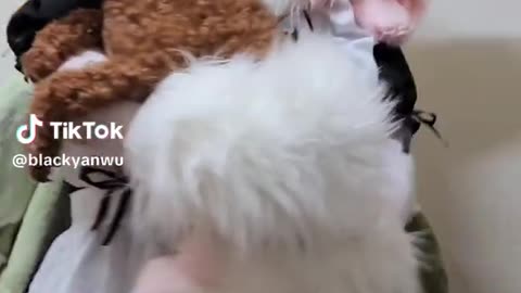 .