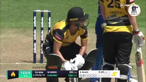 Cricket