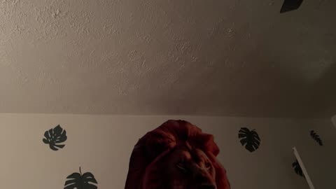 No one will believe me