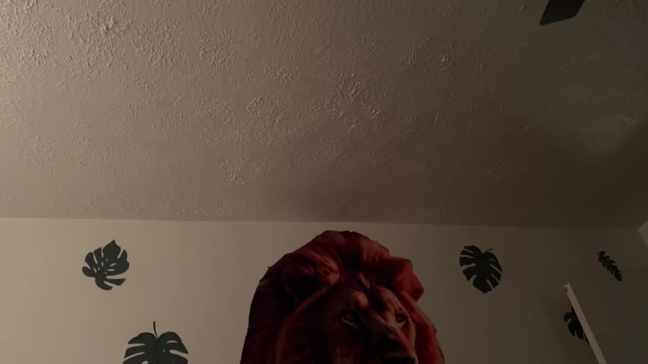 No one will believe me