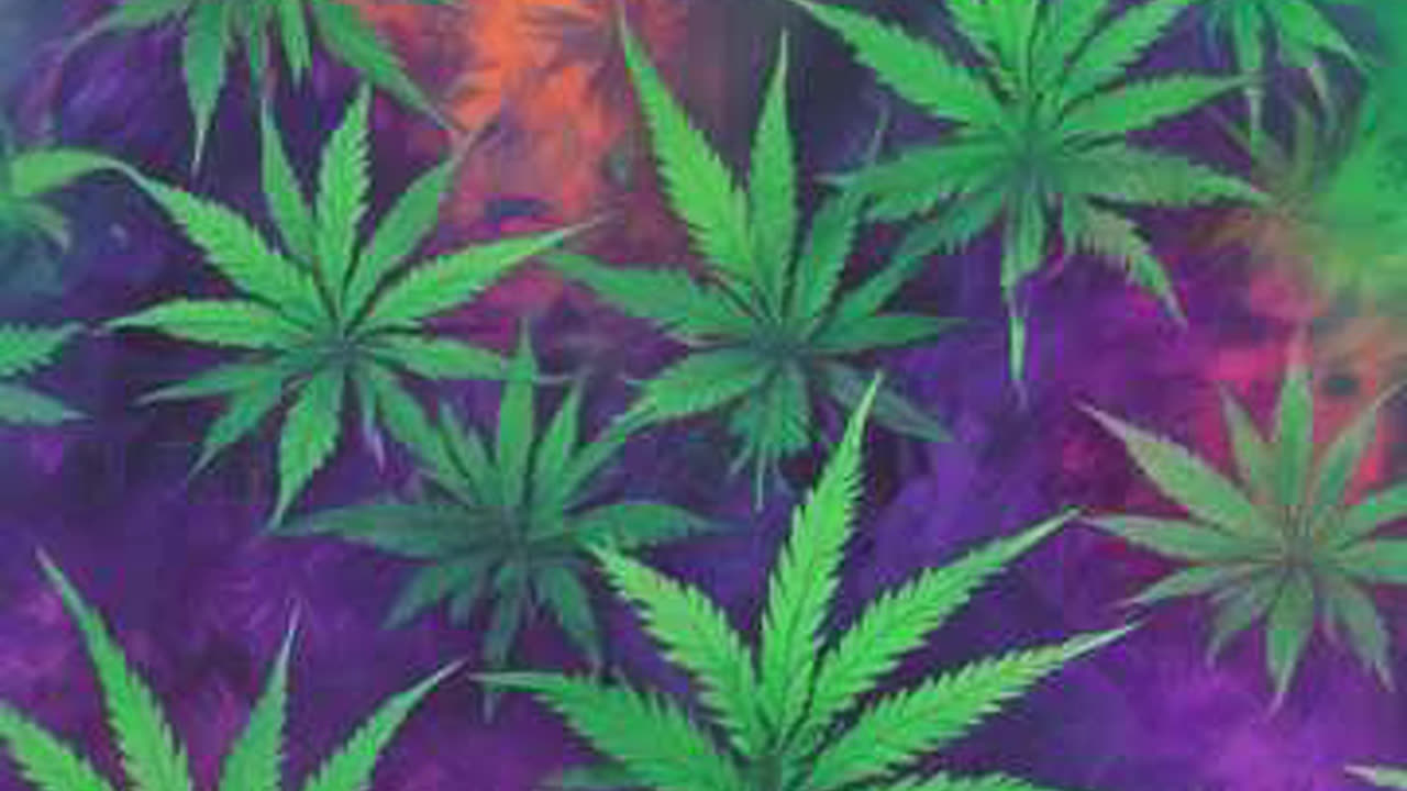 Terpene Dreams In The Bread