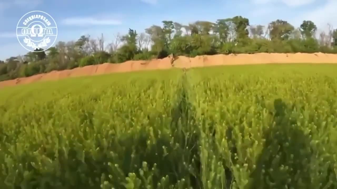 War in ukraine