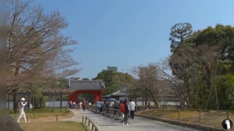 Kyoto City Japan Tour
