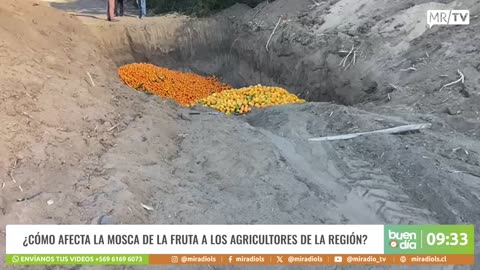 BUEN DIA 29/08/2025