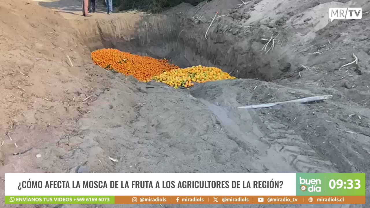 BUEN DIA 29/08/2025