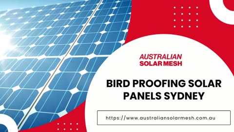Aerial Intrusion No More: Elite Bird Proofing Solar Panels in Sydney