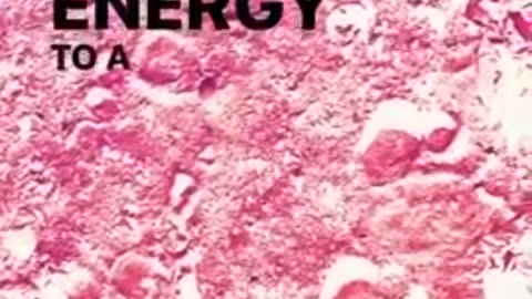 Dr. Jack Kruze - Grounding & DC Electric Current and then some other info...