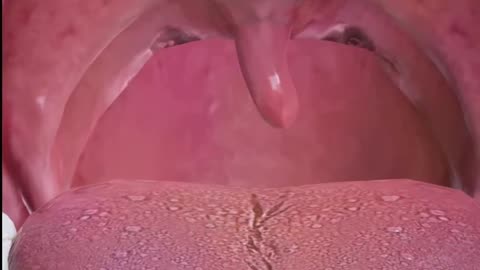What Is The Purpose Of Your Uvula? 🤯 (You Won't Believe It!)