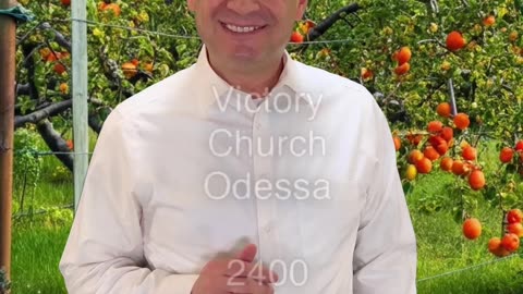 Click https://www.vchurch.us/wise to self evaluate your level of wisdom