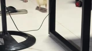 😂💎 He Went Straight For The Jewels! You Won't Believe This | FunFM