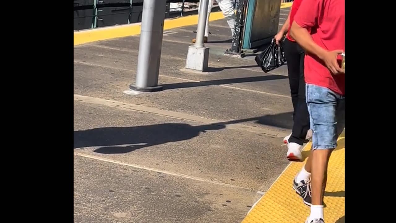 NYC - 42yo Tries To Kidnap Random Woman on Subway