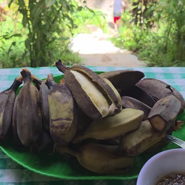 🍌Harvesting Fresh Saba Bananas | Filipino Snack Time: Saba & Bagoong 🇵🇭😋