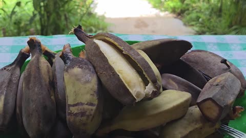 🍌Harvesting Fresh Saba Bananas | Filipino Snack Time: Saba & Bagoong 🇵🇭😋