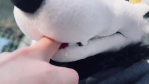 .