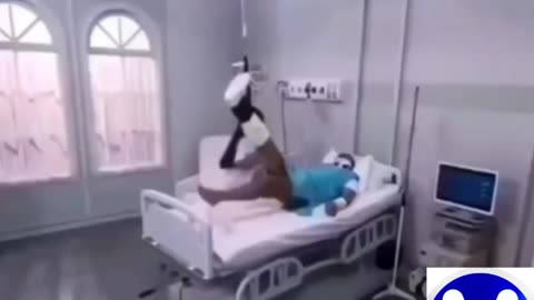 🤣🤣🤣🤣