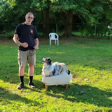 Shaping the Stay Cue short 3