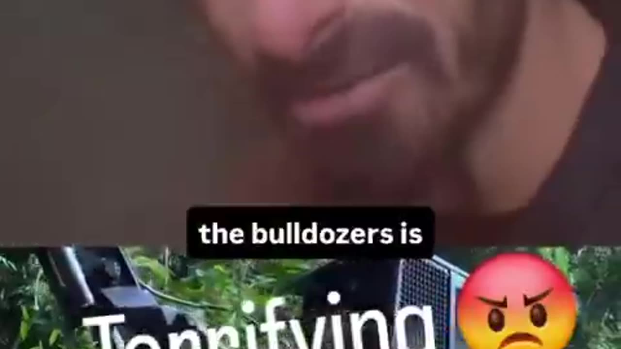 Amazon Land Clearance Raises Questions for COP30 Organizers