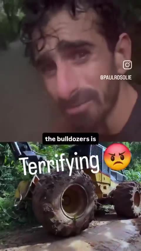 Amazon Land Clearance Raises Questions for COP30 Organizers