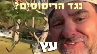 מה קורה בפלורידה מאז שיצא החוק נגד הריסוסים השמיים כחולים העצים פורחים והציפורים שרות