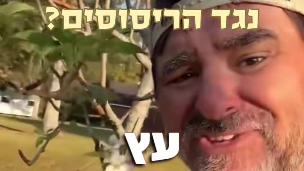מה קורה בפלורידה מאז שיצא החוק נגד הריסוסים השמיים כחולים העצים פורחים והציפורים שרות
