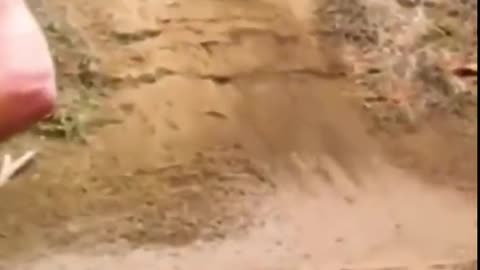 Unlucky Quad Biker