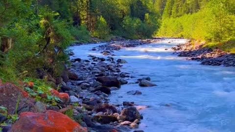 What a beautiful view | Welcome to beauty of nature - 00024